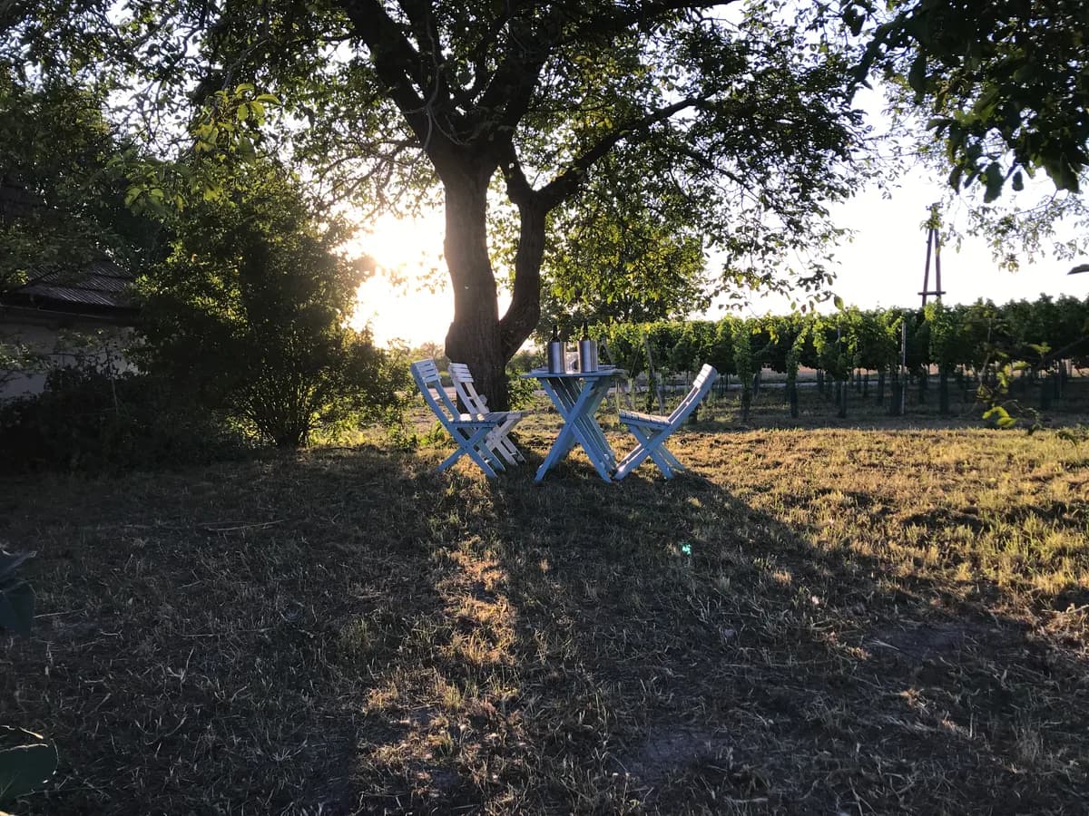 Immobilie kaufen in Hollabrunn – 45 m², € 36.000 – Bild 5 von 17