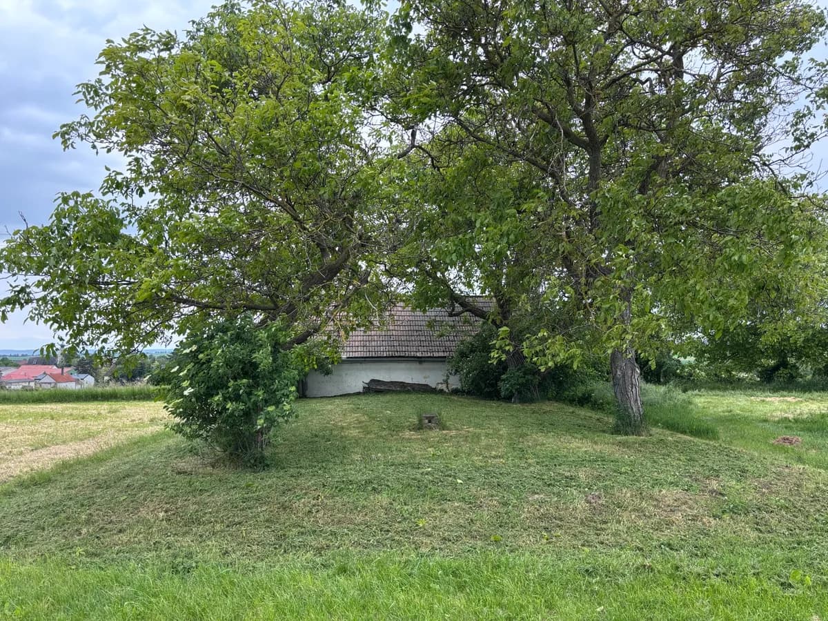 Immobilie kaufen in Hollabrunn – 45 m², € 36.000 – Bild 9 von 17