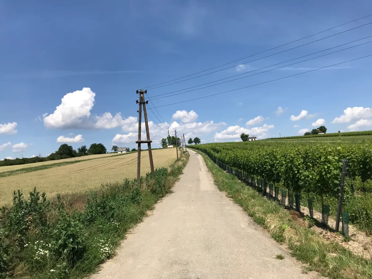Immobilie kaufen in Hollabrunn – 45 m², € 36.000 – Bild 16 von 17