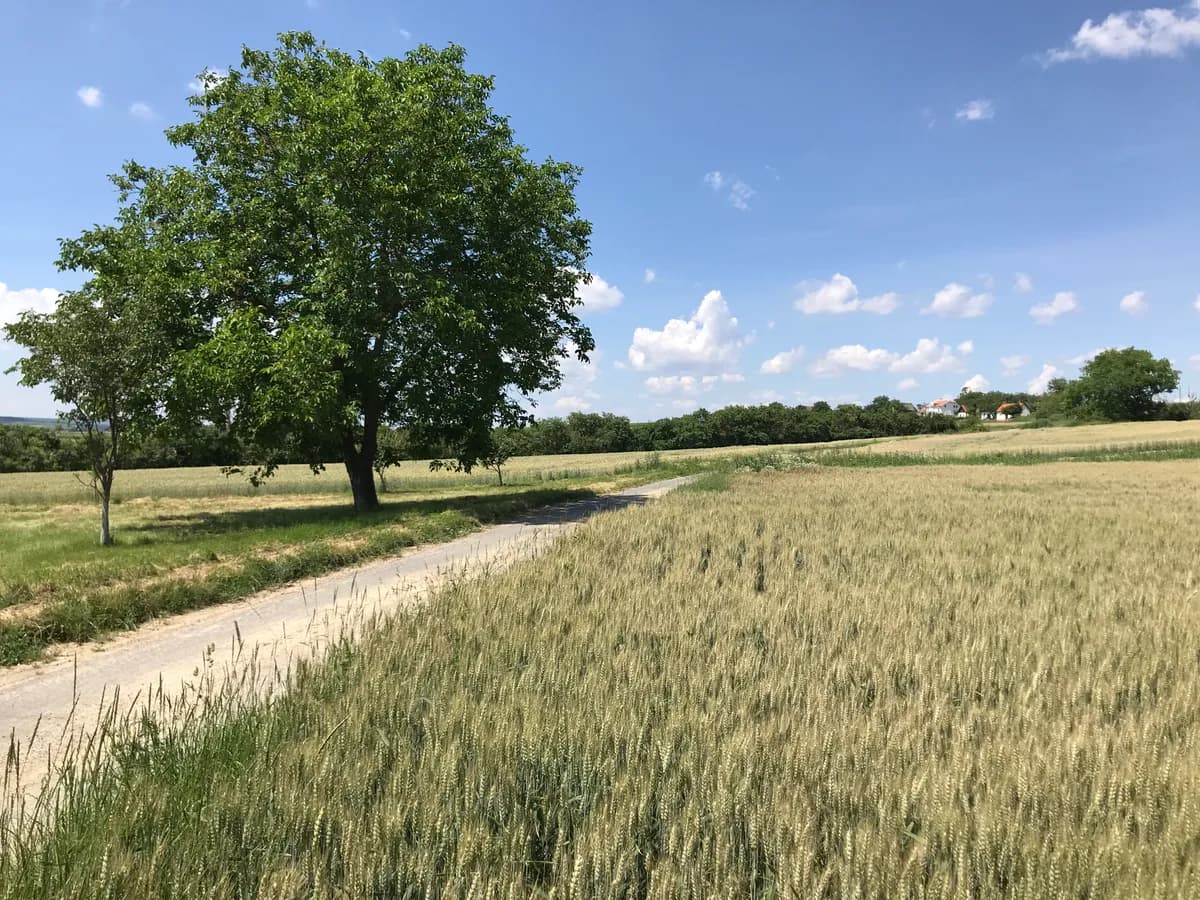Immobilie kaufen in Hollabrunn – 45 m², € 36.000 – Bild 17 von 17