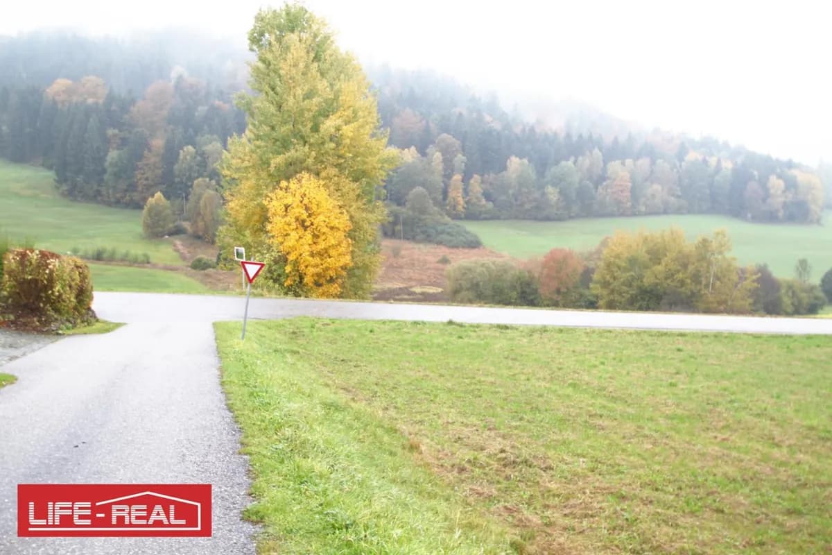 Grundstück kaufen in Rohrbach – 12 789 m², € 89.000