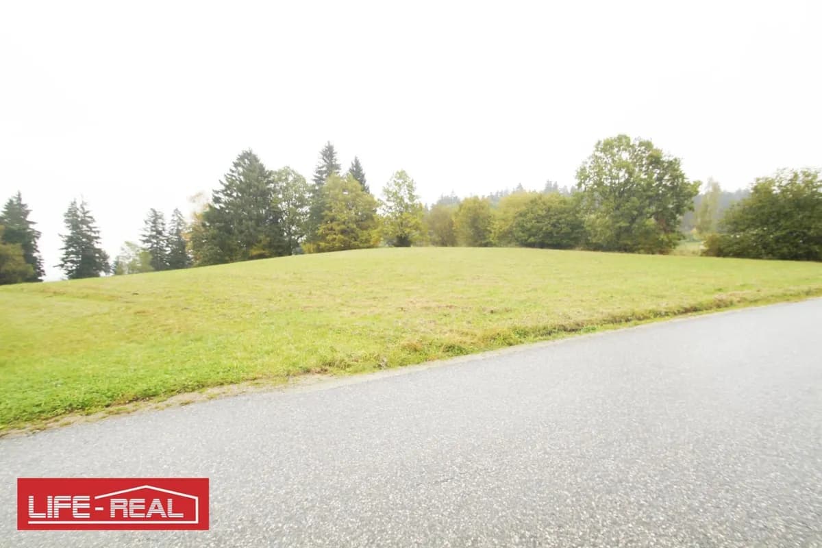 Grundstück kaufen in Rohrbach – 6 007 m², € 42.049 – Bild 3 von 4