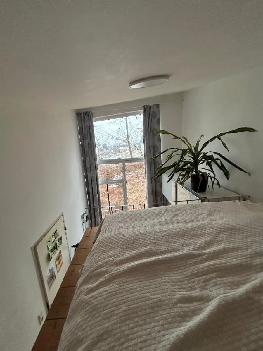 2-Zimmer-Wohnung mieten in Salzburg-Umgebung – 60 m², € 900 – Bild 7 von 9