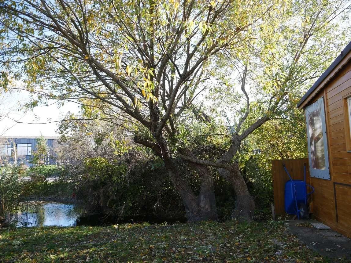 Grundstück mieten in Eisenstadt - Umgebung – 125 m², € 4.726 – Bild 5 von 13