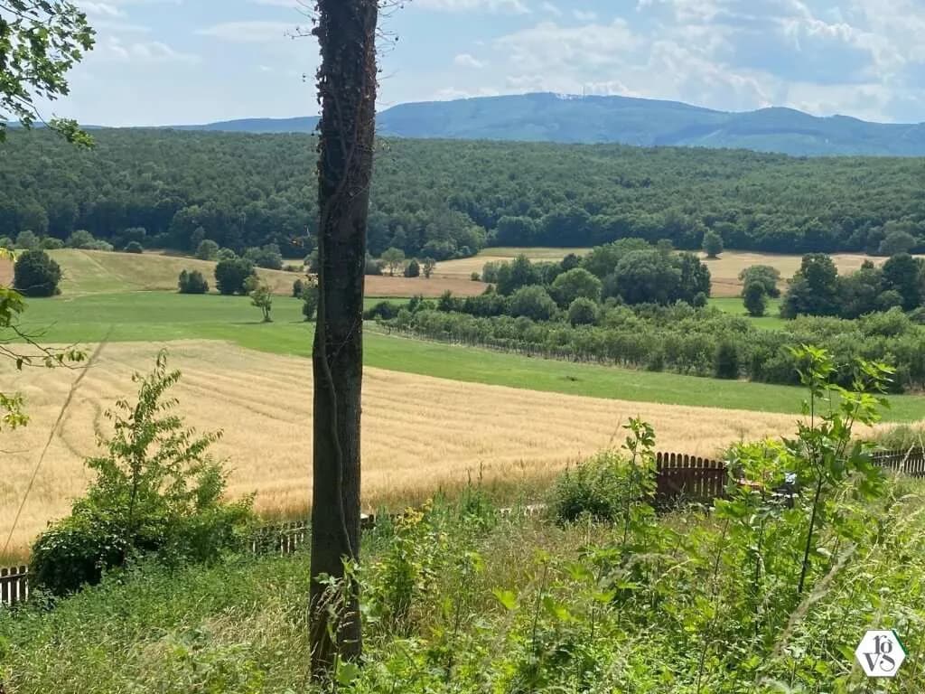 Grundstück kaufen in Baden – 601 m², € 385.000 – Bild 4 von 7
