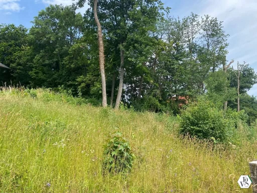 Grundstück kaufen in Baden – 601 m², € 385.000 – Bild 5 von 7