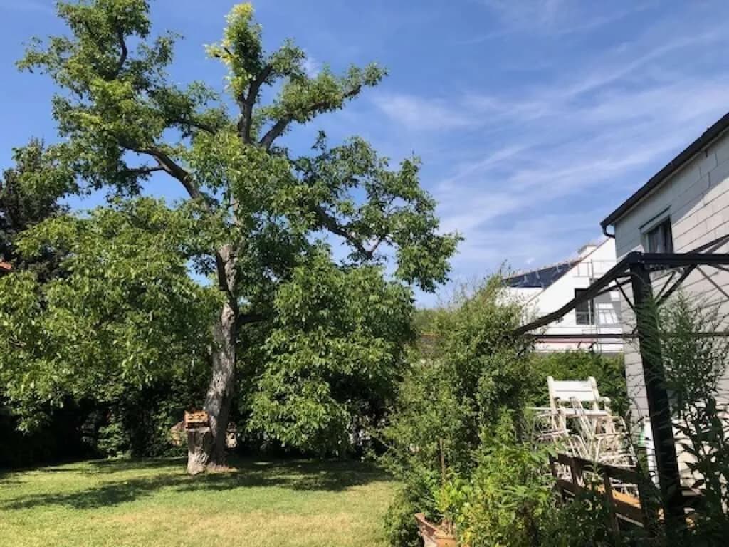 9-Zimmer-Haus kaufen in Wien – 230 m², € 995.000