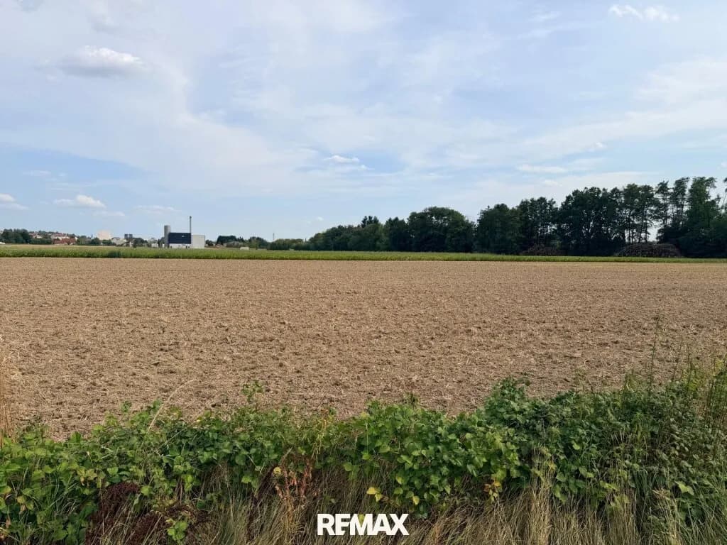 Immobilie kaufen in Oberwart – 3 000 m², € 210.000 – Bild 3 von 6