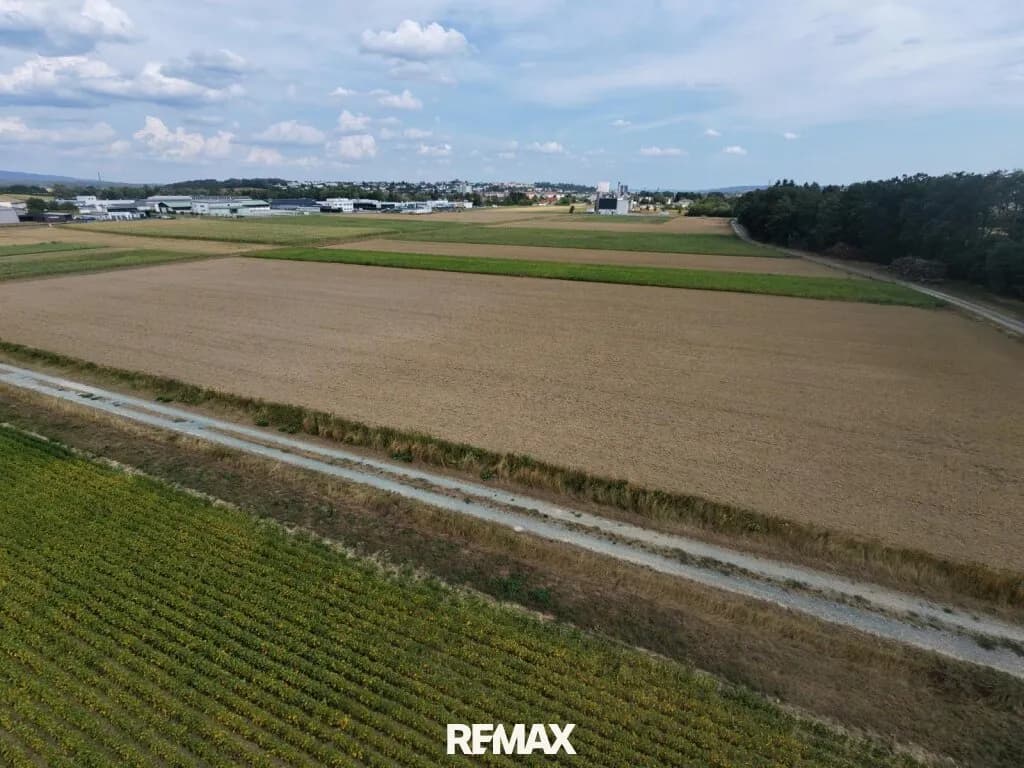Immobilie kaufen in Oberwart – 3 000 m², € 210.000 – Bild 4 von 6
