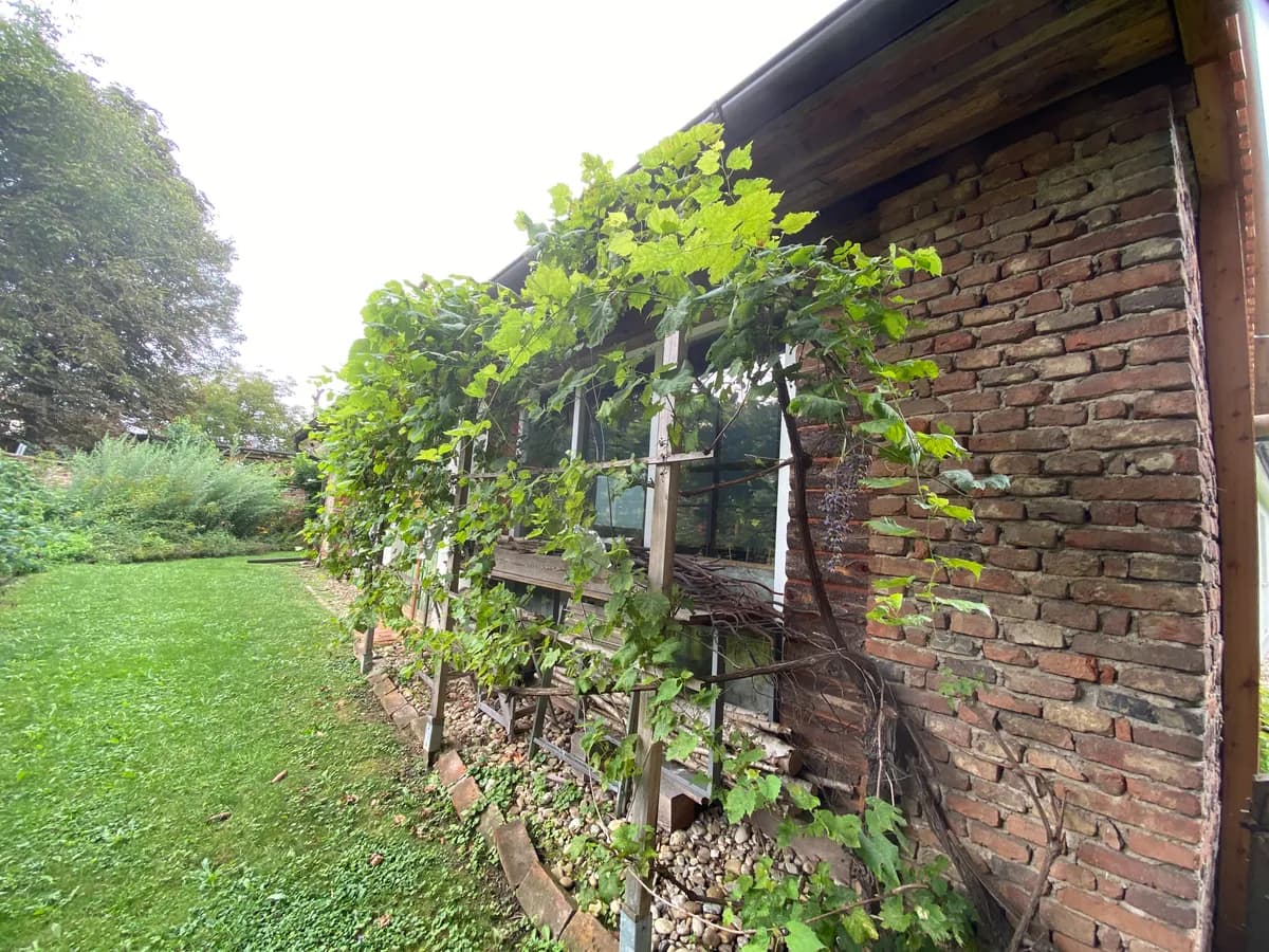 6-Zimmer-Haus kaufen in Hartberg-Fürstenfeld – 313 m², € 520.000 – Bild 11 von 50