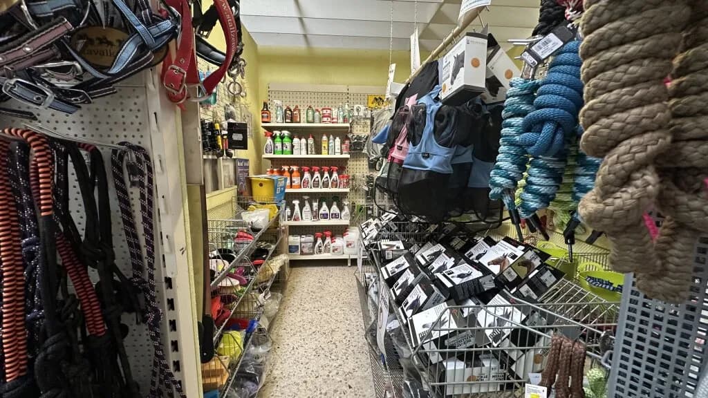 Gewerbeimmobilie kaufen in Grieskirchen – 425 m², € 950.000 – Bild 32 von 33