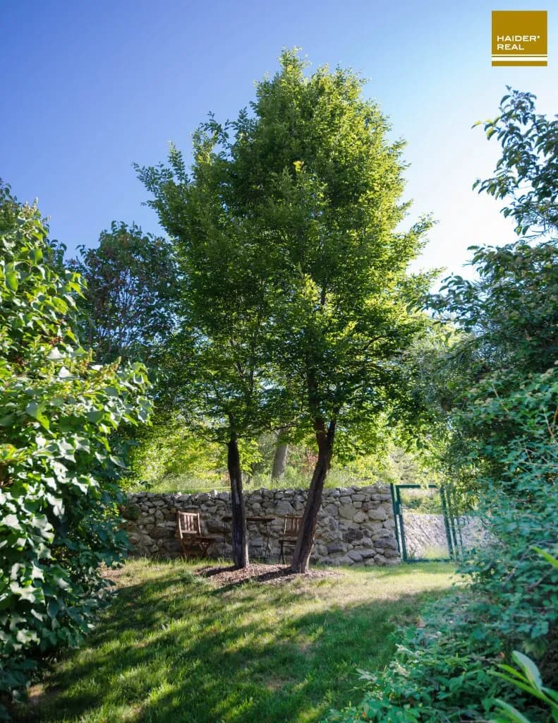 5-Zimmer-Haus kaufen in Tulln – 138,73 m², € 990.000 – Bild 26 von 29