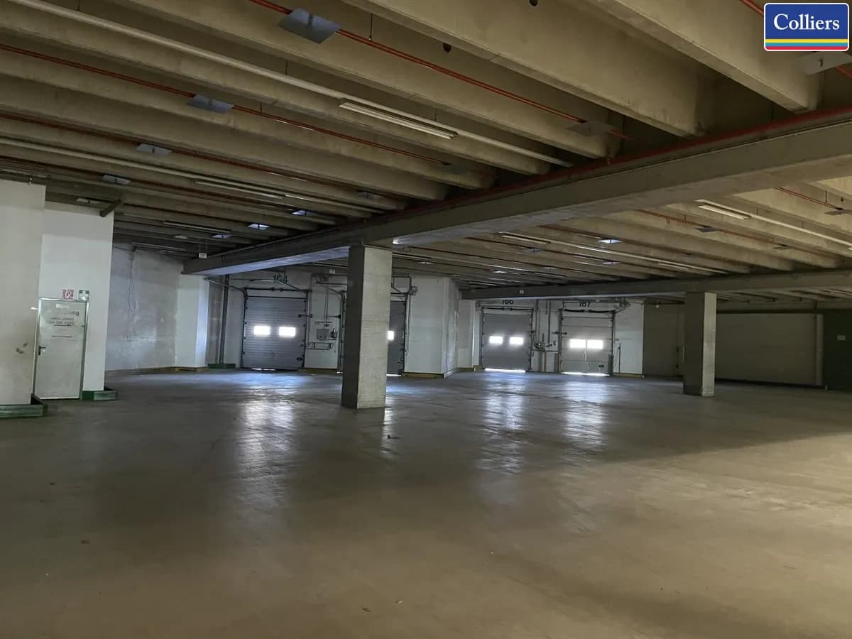 Immobilie mieten in Sankt Pölten – 79 818 m² – Bild 8 von 22