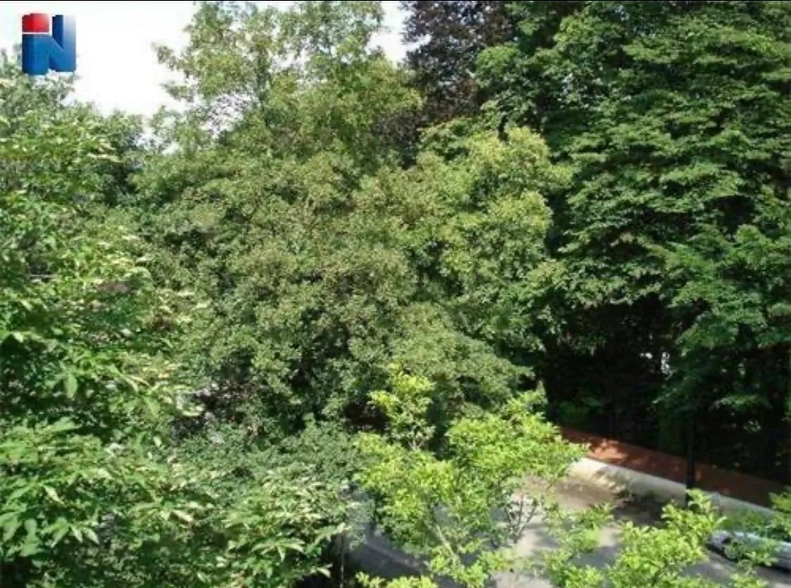 3-Zimmer-Wohnung kaufen in Graz – 82 m², € 185.000 – Bild 20 von 20
