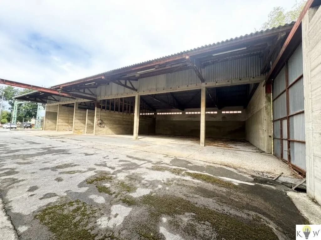 Gewerbeimmobilie kaufen in Neusiedl am See – 3 331 m², € 800.000 – Bild 4 von 13