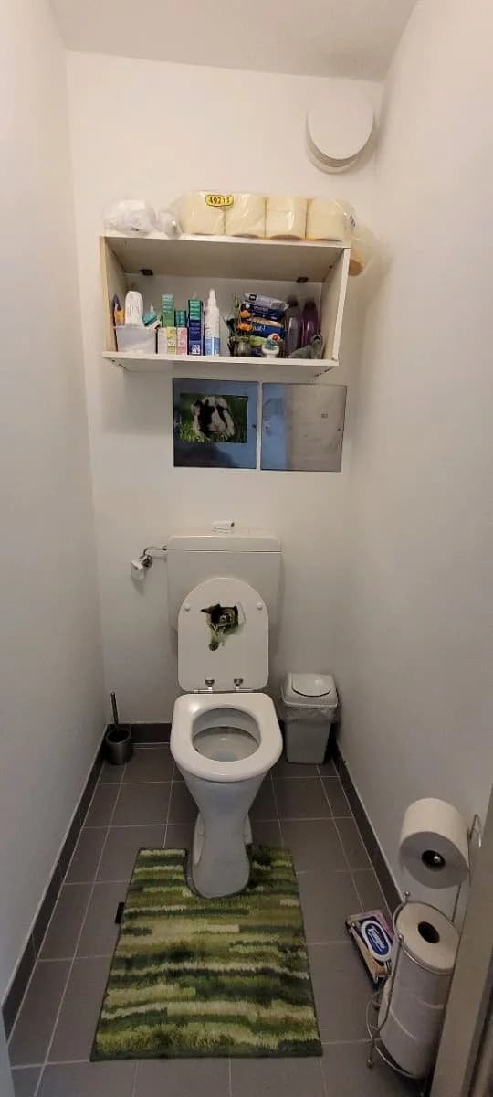 2-Zimmer-Wohnung mieten in Wien – 52 m², € 570 – Bild 8 von 10