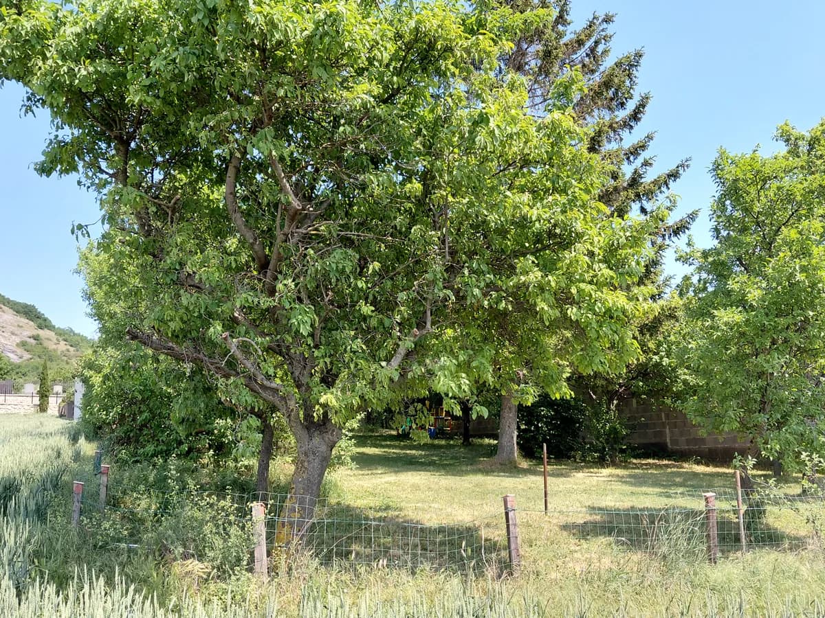 Grundstück kaufen in Bruck an der Leitha – 900 m², € 232.000 – Bild 4 von 9