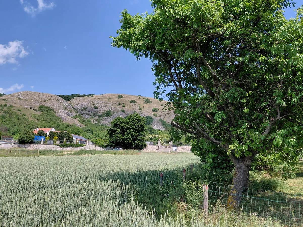 Grundstück kaufen in Bruck an der Leitha – 900 m², € 232.000 – Bild 5 von 9