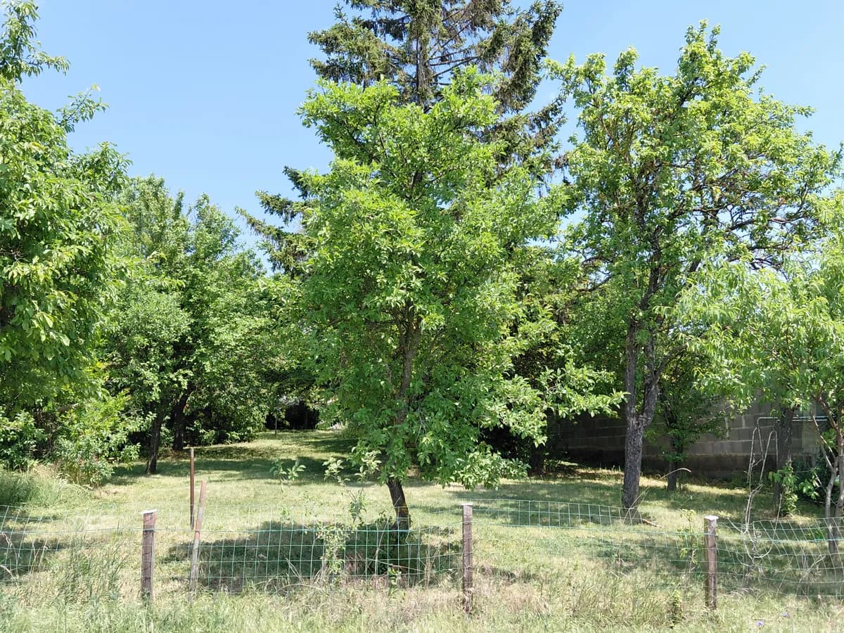 Grundstück kaufen in Bruck an der Leitha – 900 m², € 232.000 – Bild 6 von 9