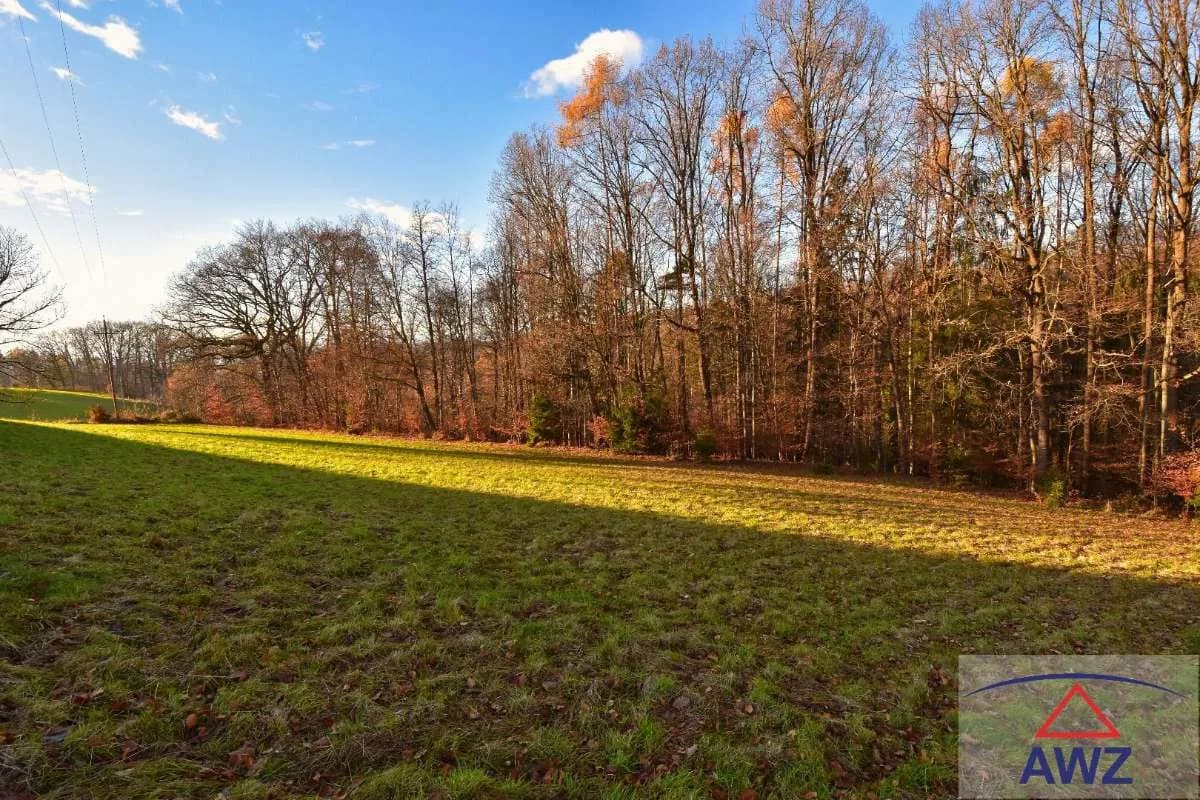 Grundstück kaufen in Graz-Umgebung – 13 000 m² – Bild 1 von 7