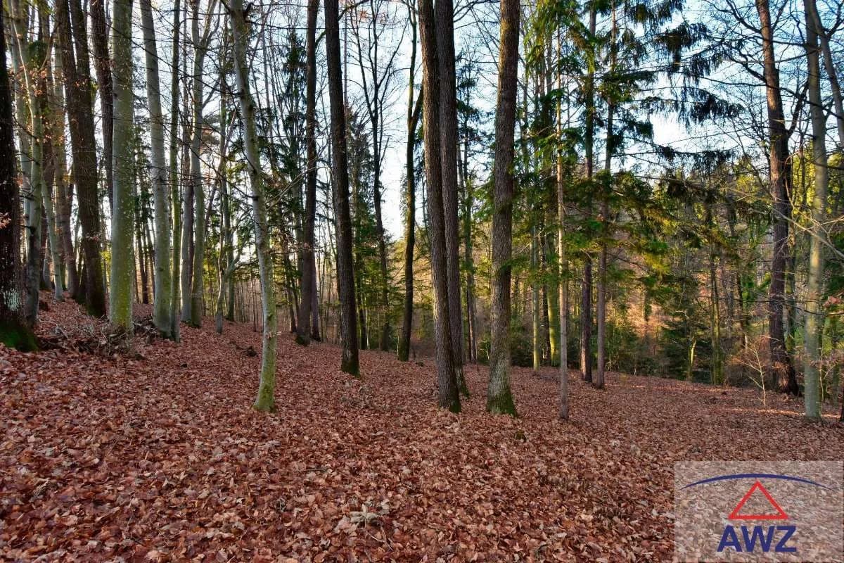 Grundstück kaufen in Graz-Umgebung – 13 000 m² – Bild 4 von 7