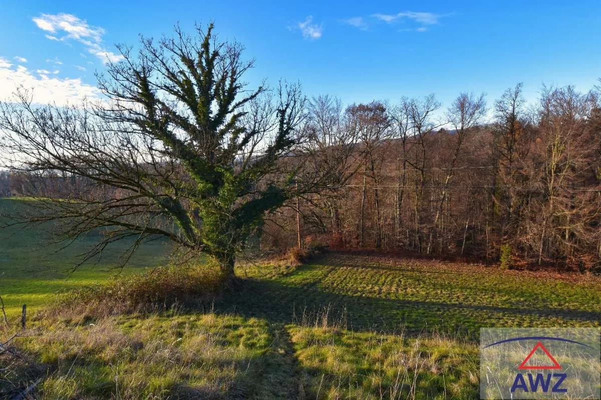 Grundstück kaufen in Graz-Umgebung – 13 000 m² – Bild 7 von 7