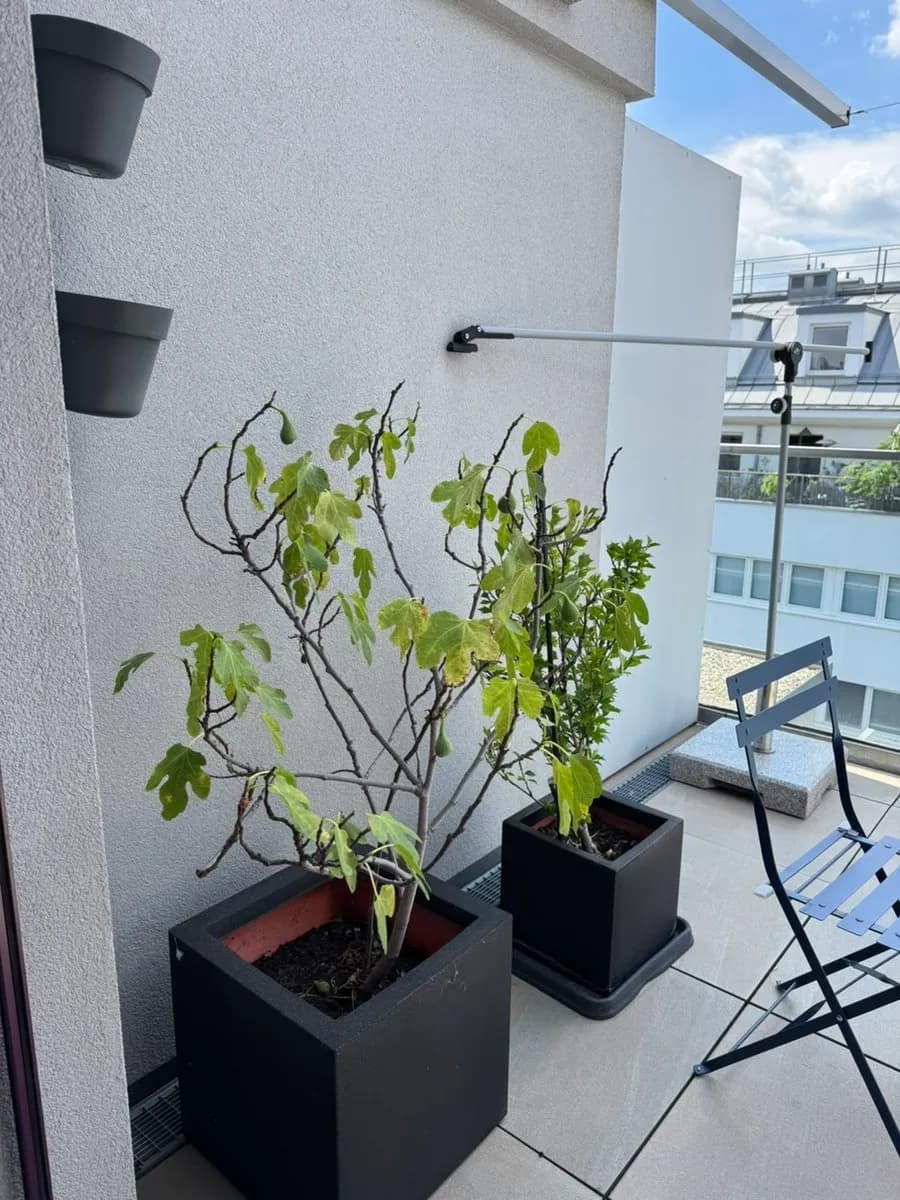 4-Zimmer-Wohnung mieten in Wien – 93 m², € 3.100 – Bild 5 von 23