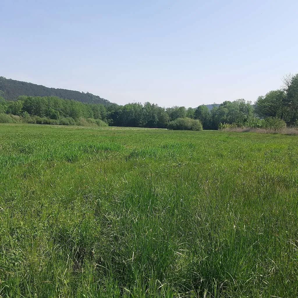 Grundstück kaufen in Neunkirchen – 800 m², € 20 – Bild 2 von 8