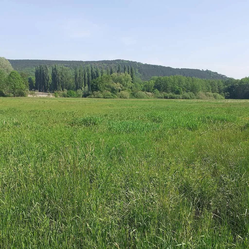 Grundstück kaufen in Neunkirchen – 800 m², € 20 – Bild 3 von 8