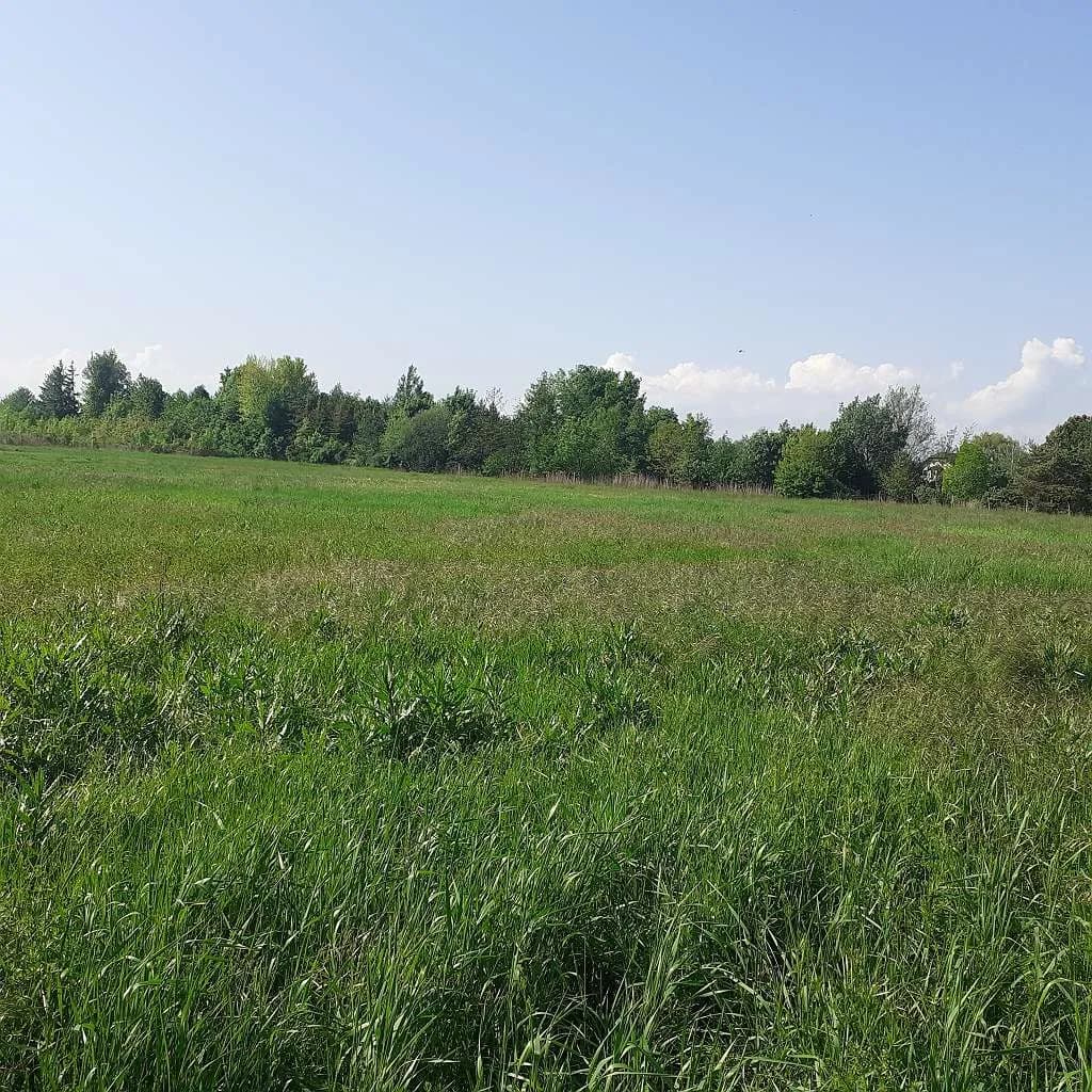 Grundstück kaufen in Neunkirchen – 800 m², € 20 – Bild 4 von 8