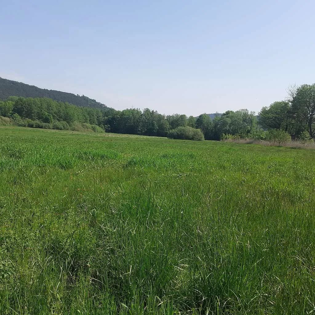Grundstück kaufen in Neunkirchen – 800 m², € 20 – Bild 5 von 8