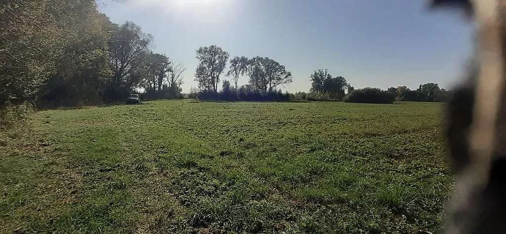Grundstück kaufen in Neunkirchen – 800 m², € 20 – Bild 6 von 8
