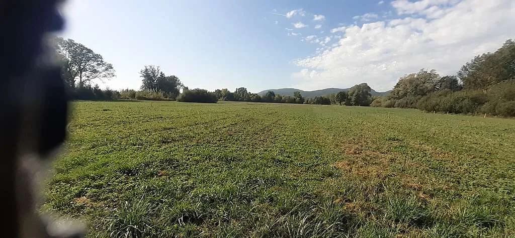 Grundstück kaufen in Neunkirchen – 800 m², € 20 – Bild 7 von 8