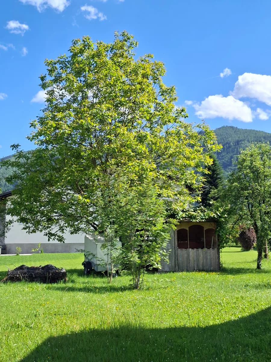 8-Zimmer-Haus kaufen in Liezen – 202 m², € 699.000 – Bild 19 von 49