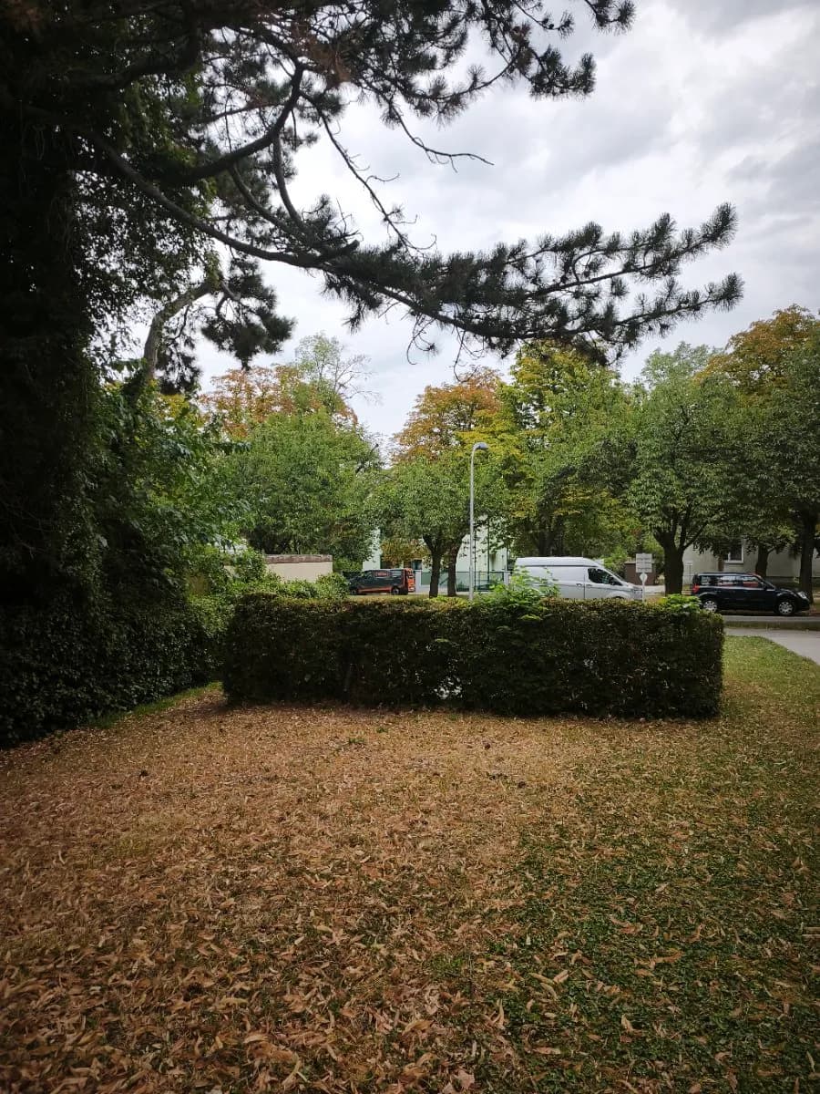 1-Zimmer-Wohnung mieten in Wien – 41 m², € 675 – Bild 12 von 12
