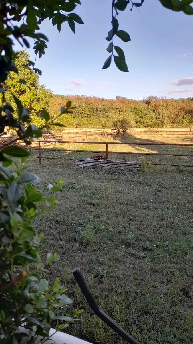 Gewerbeimmobilie kaufen in Gänserndorf – 233 m², € 498.000 – Bild 31 von 37