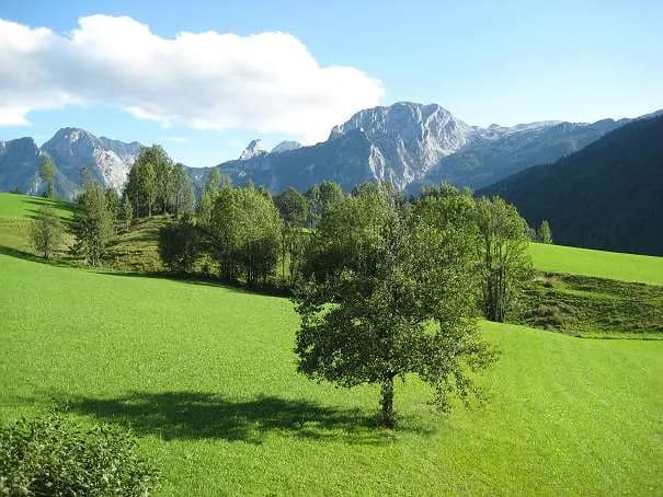 Wohnung mieten in Hallein – 86 m², € 100 – Bild 3 von 17