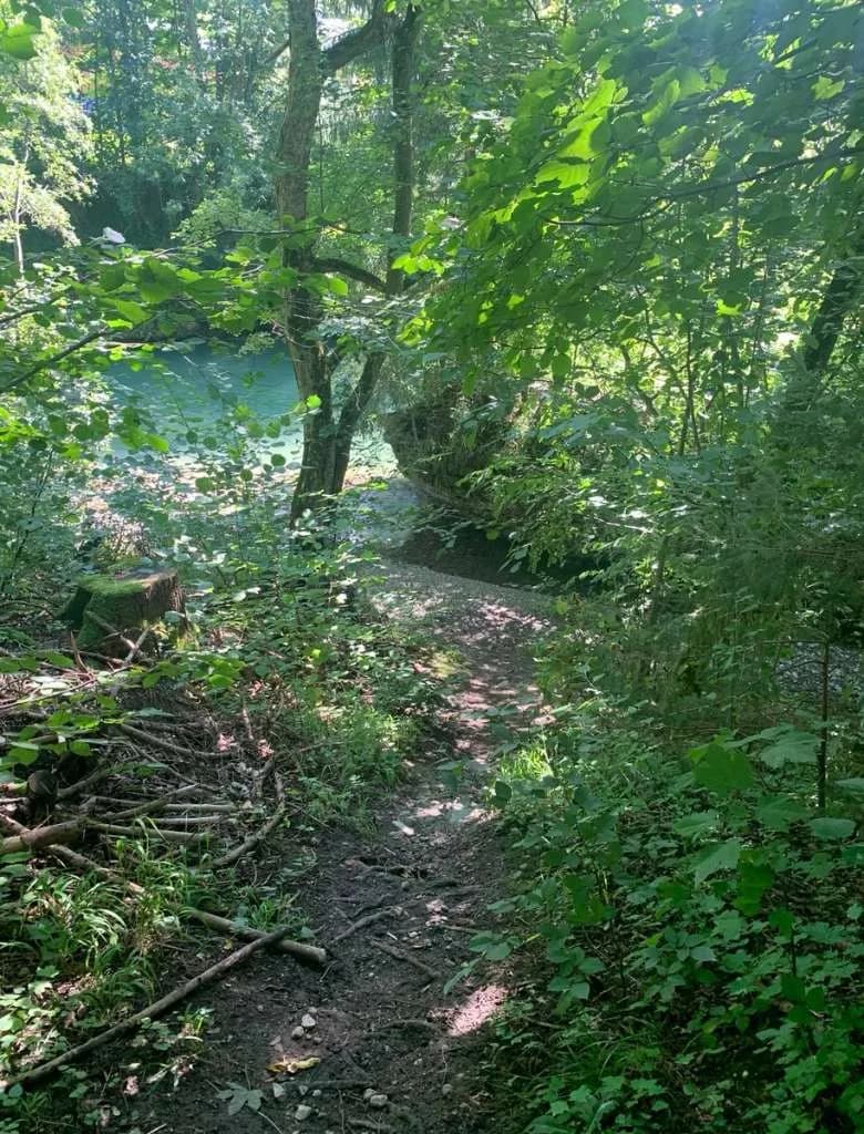 Grundstück kaufen in Scheibbs – 5 943 m², € 150.000 – Bild 3 von 9