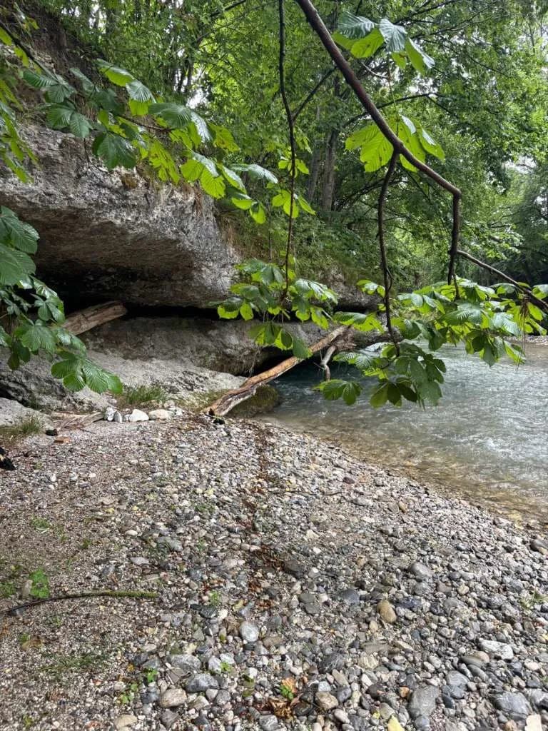 Grundstück kaufen in Scheibbs – 5 943 m², € 150.000 – Bild 7 von 9