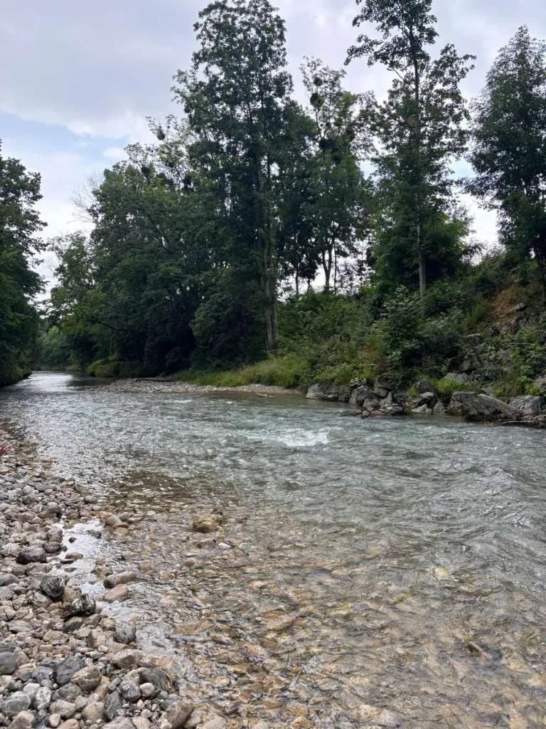 Grundstück kaufen in Scheibbs – 5 943 m², € 150.000 – Bild 9 von 9