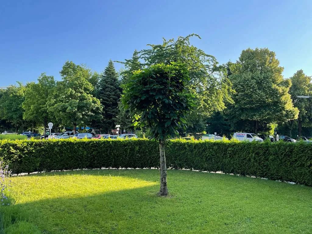 2-Zimmer-Wohnung mieten in Linz – 61 m², € 965 – Bild 8 von 8
