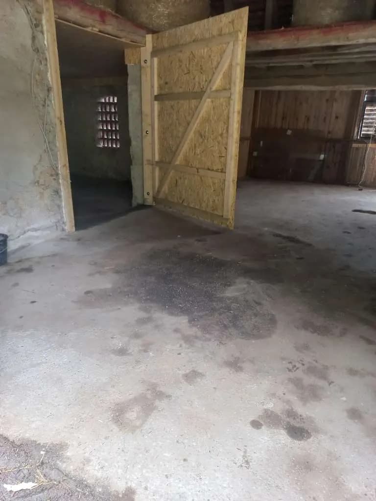 Immobilie mieten in Graz – 40 m² – Bild 4 von 4