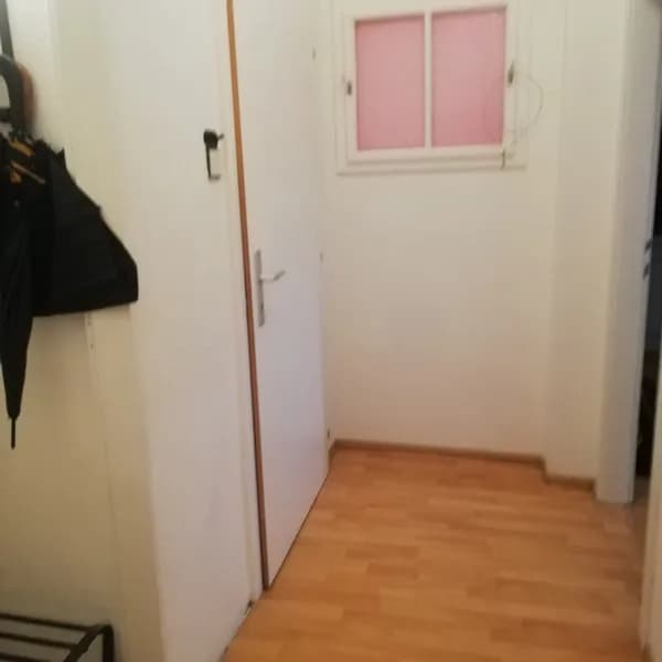 1-Zimmer-Wohnung mieten in Wiener Neustadt – 47 m², € 550 – Bild 2 von 7