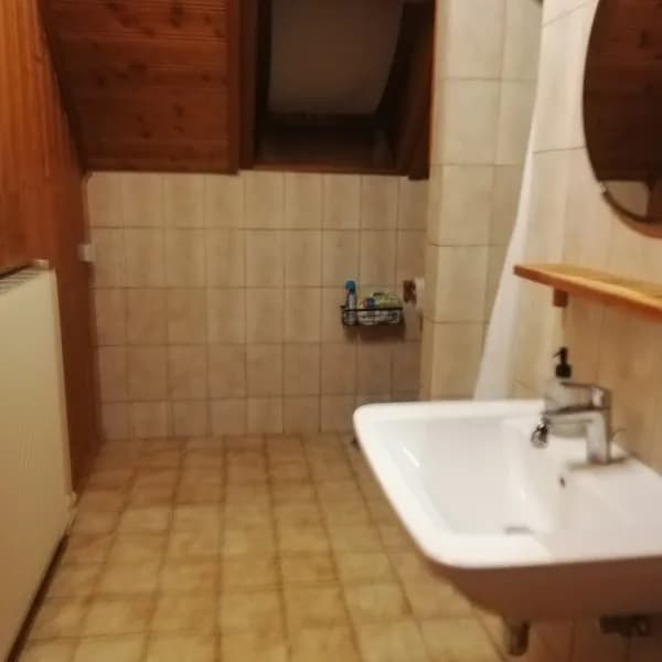 1-Zimmer-Wohnung mieten in Wiener Neustadt – 47 m², € 550 – Bild 7 von 7