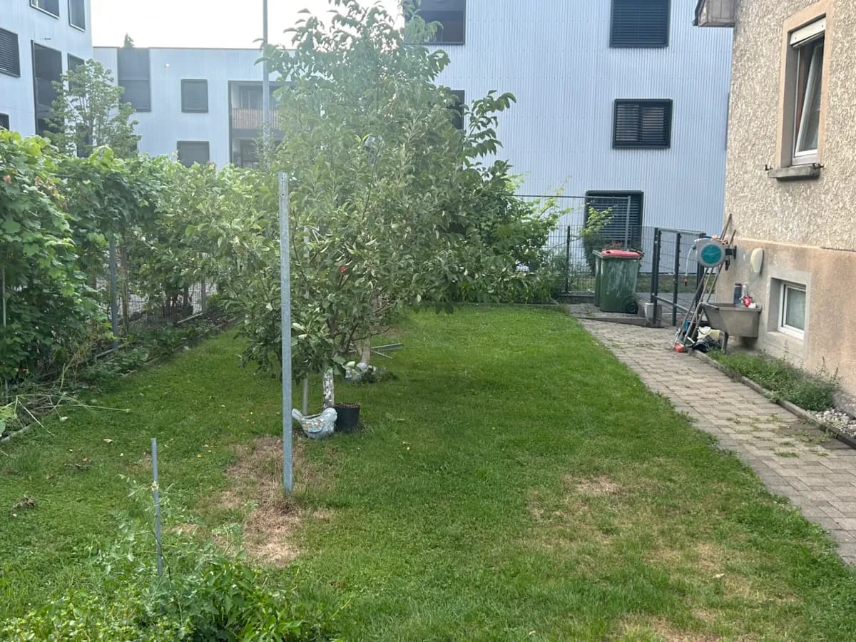 12-Zimmer-Gewerbeimmobilie kaufen in Bludenz – 207 m², € 650.000 – Bild 6 von 35