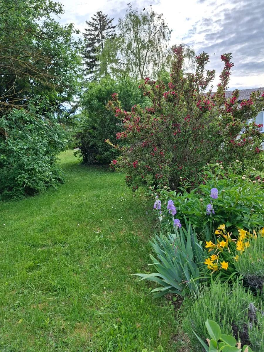 Haus kaufen in Hollabrunn – 85 m², € 120.000 – Bild 3 von 22