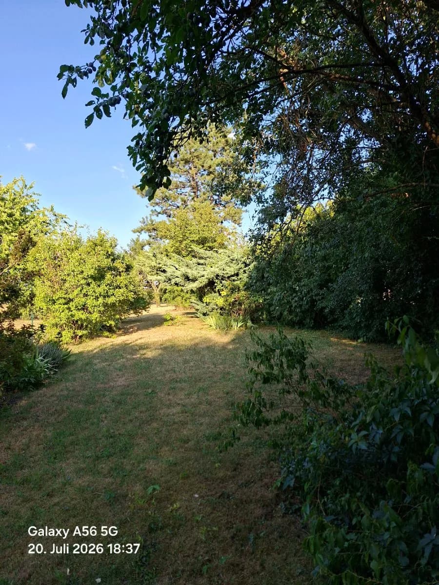 Haus kaufen in Hollabrunn – 85 m², € 120.000 – Bild 22 von 22