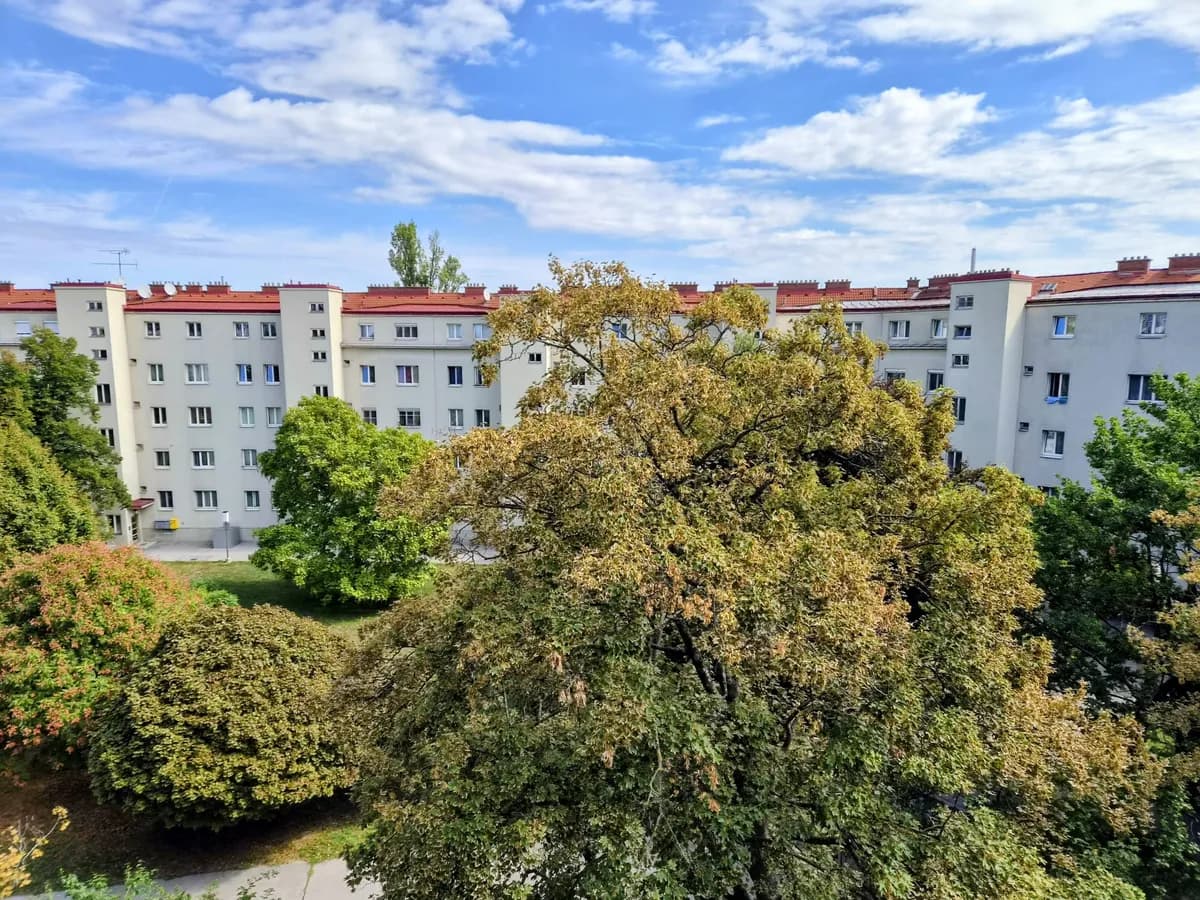 1-Zimmer-Wohnung mieten in Wien – 31 m², € 500 – Bild 2 von 6