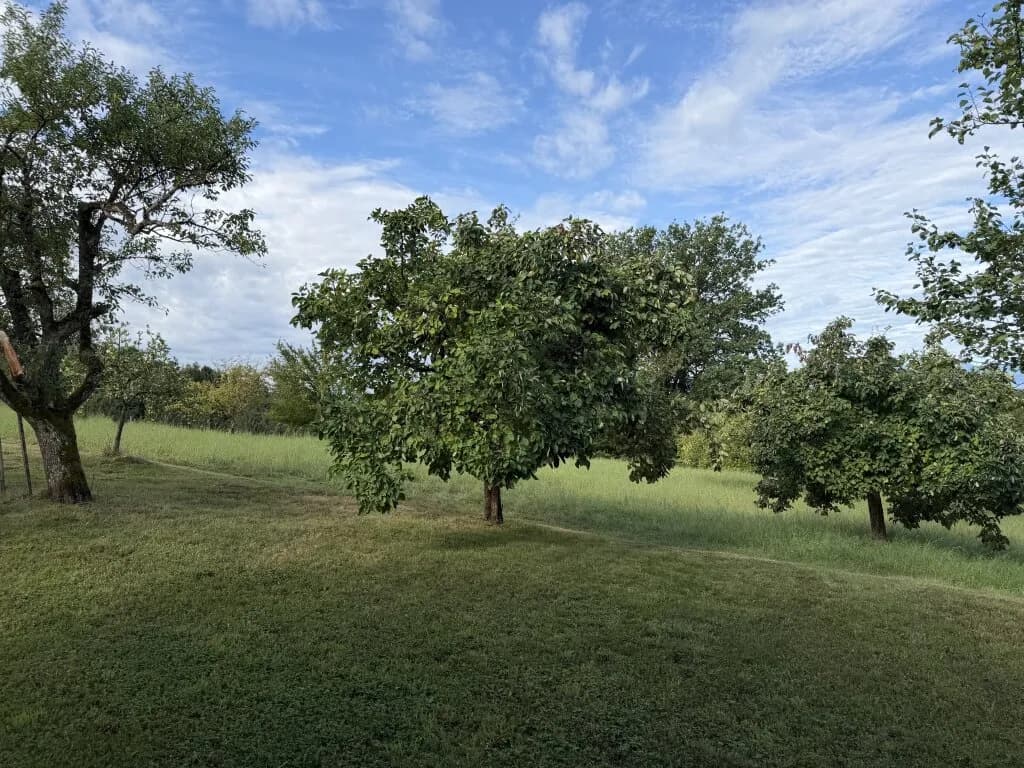 4-Zimmer-Haus kaufen in Leibnitz – 160 m², € 980.000 – Bild 5 von 5