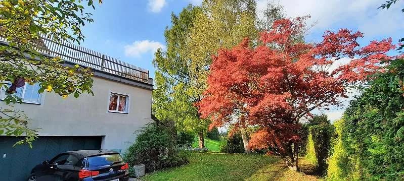5-Zimmer-Wohnung mieten in Vöcklabruck – 145 m², € 1.687 – Bild 14 von 20